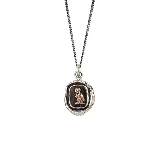 sparkling necklaces for women -Watch Over Me 14k Gold on Silver Talisman